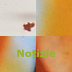 Notizie