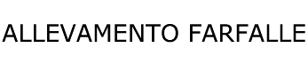 allevamento farfalle