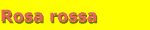 Rosa rossa