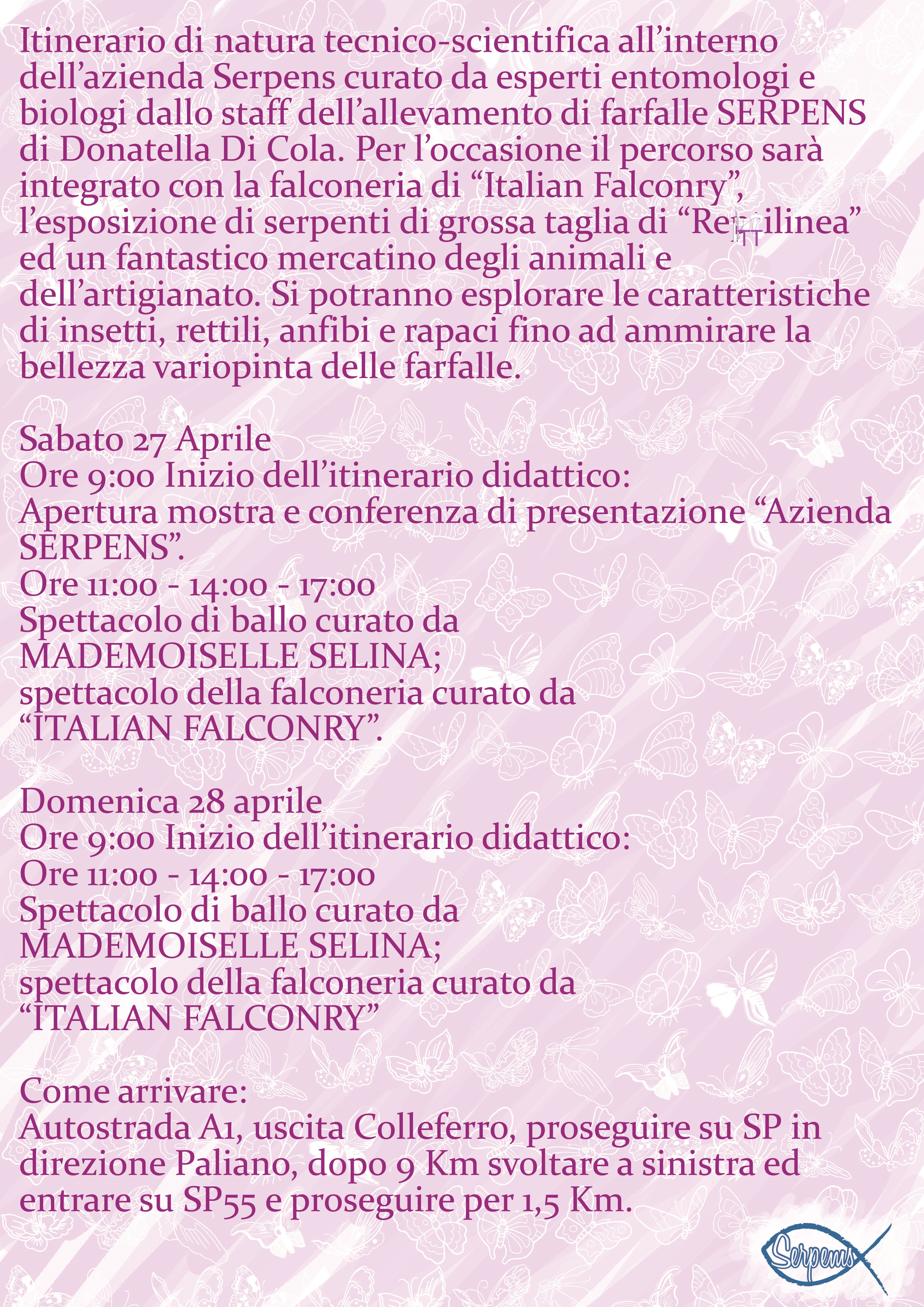definitivo_retro